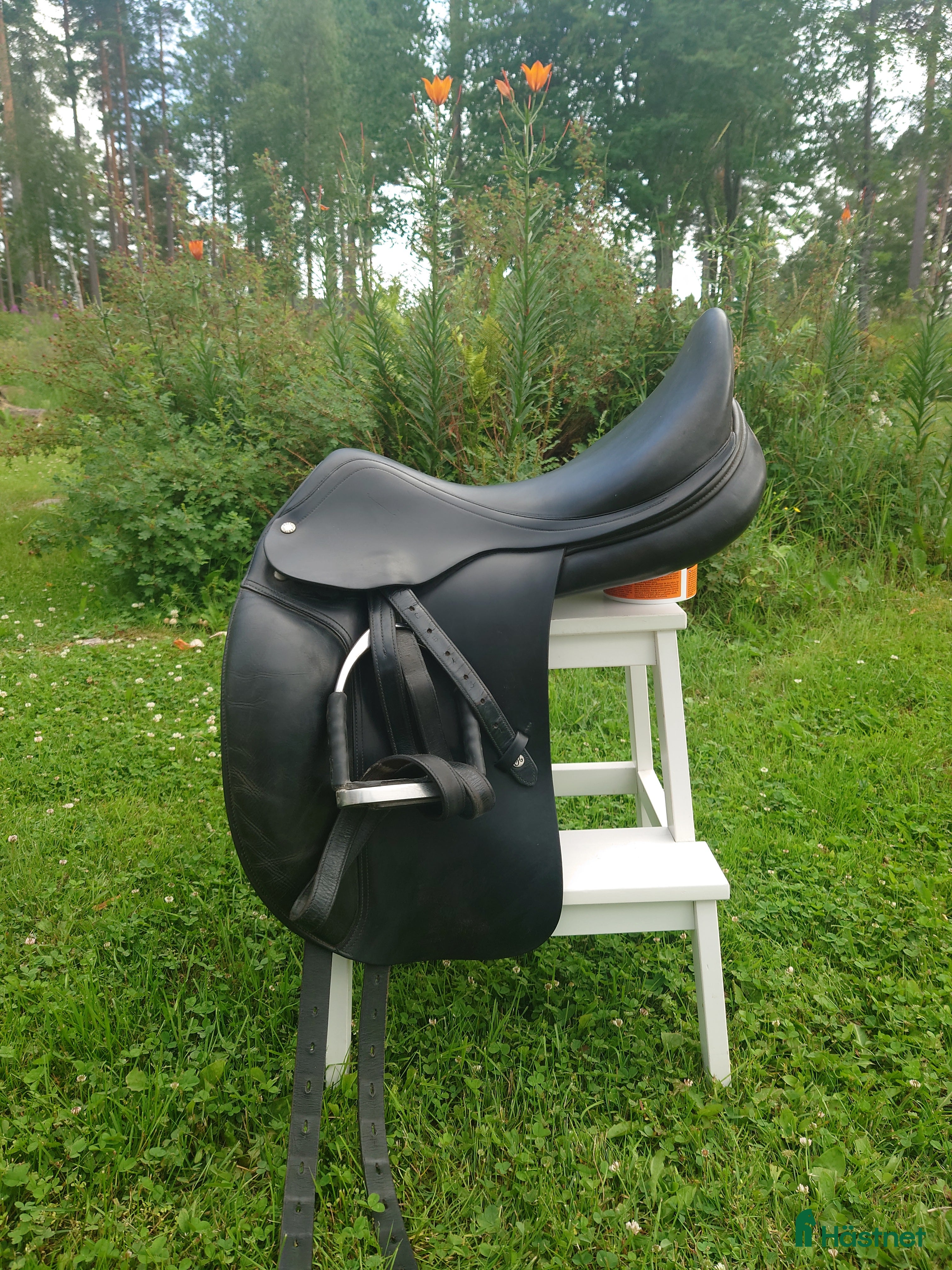 Sadlar hästutrustning till salu: Amerigo Classic 18" +1,5 i Dala-järna - Annons 6