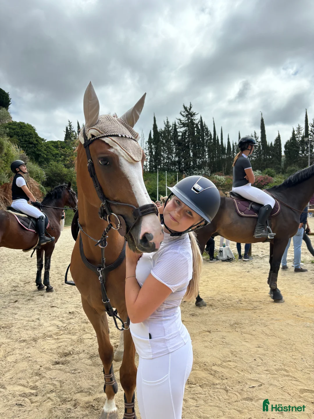 Hoppning hästar till salu: Fin valack med kapacitet  i Arlandastad - Annons 2