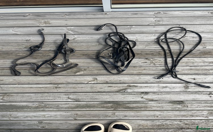 Träns hästutrustning till salu i Tygelsjö - Annons 15