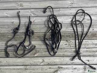 Träns hästutrustning till salu: Graman + halsförlängare i Tygelsjö - Annons 24