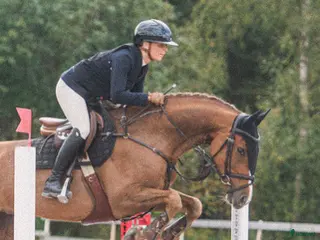 hästar 8-årigt sto med god kapacitet - Annons 9