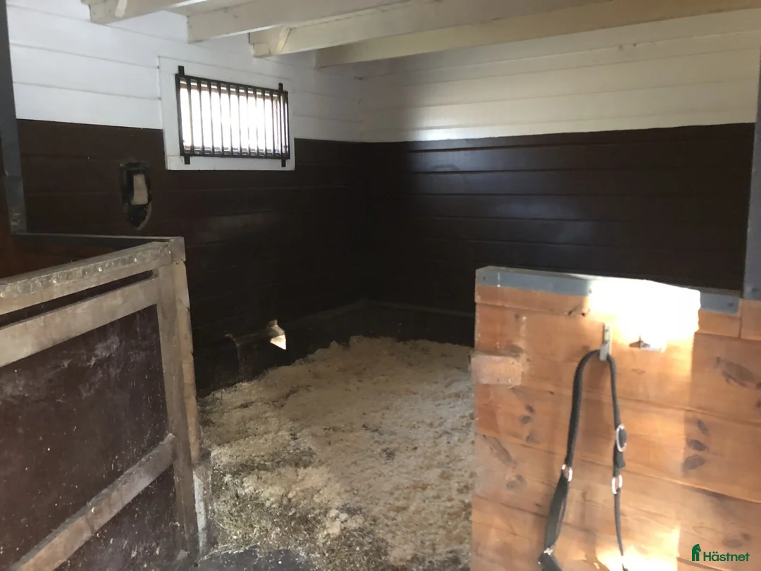  stallplats finnes: Bete finnes till dig som önskar resa bort i sommar - Annons 3