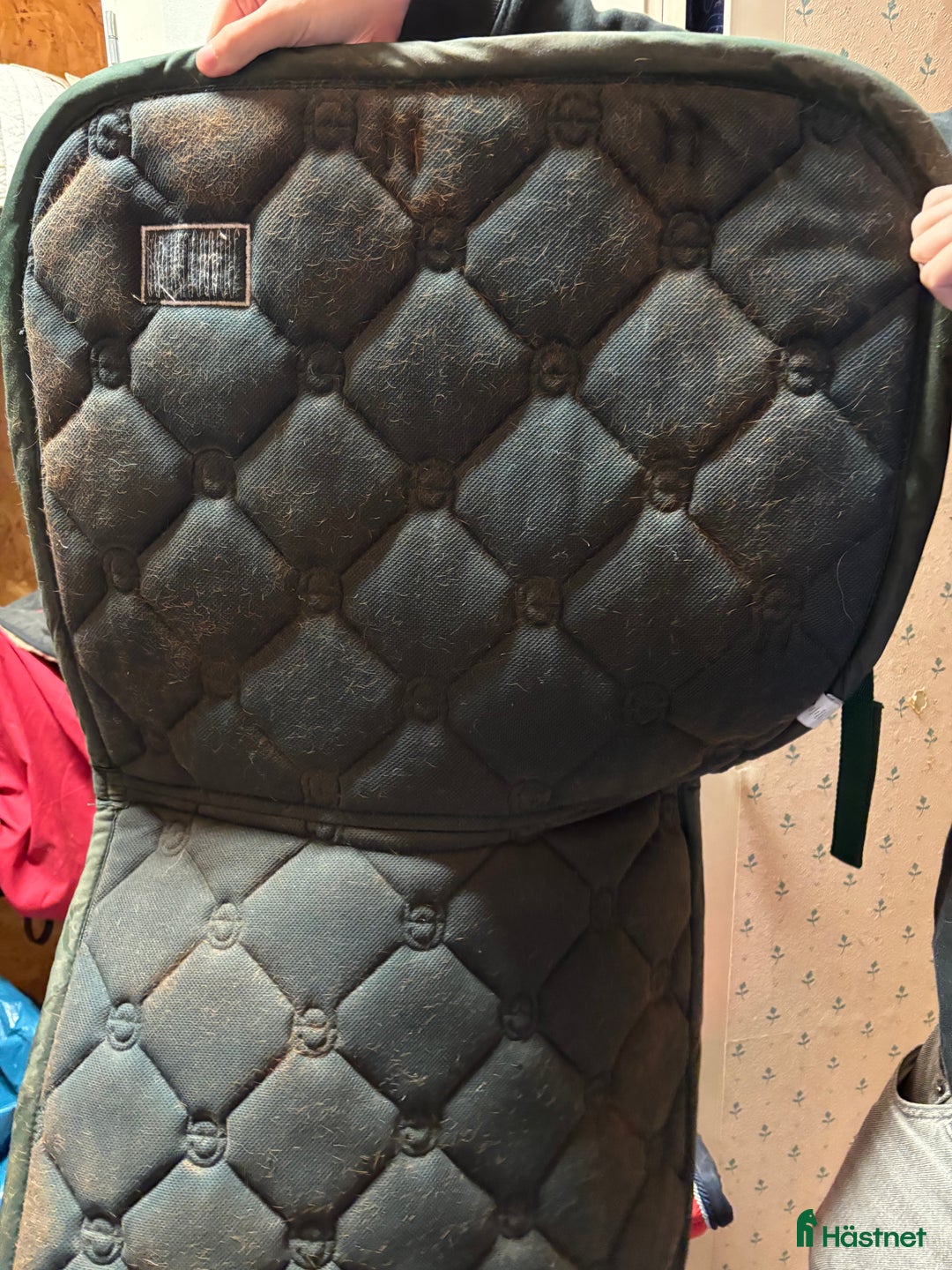 Schabrak & Vojlockar hästutrustning till salu: Equestrian stockholm schabrak  i Enköping - Annons 2