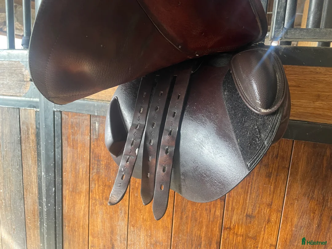 Sadlar hästutrustning till salu: Hoppsadel från Equiline - Annons 9