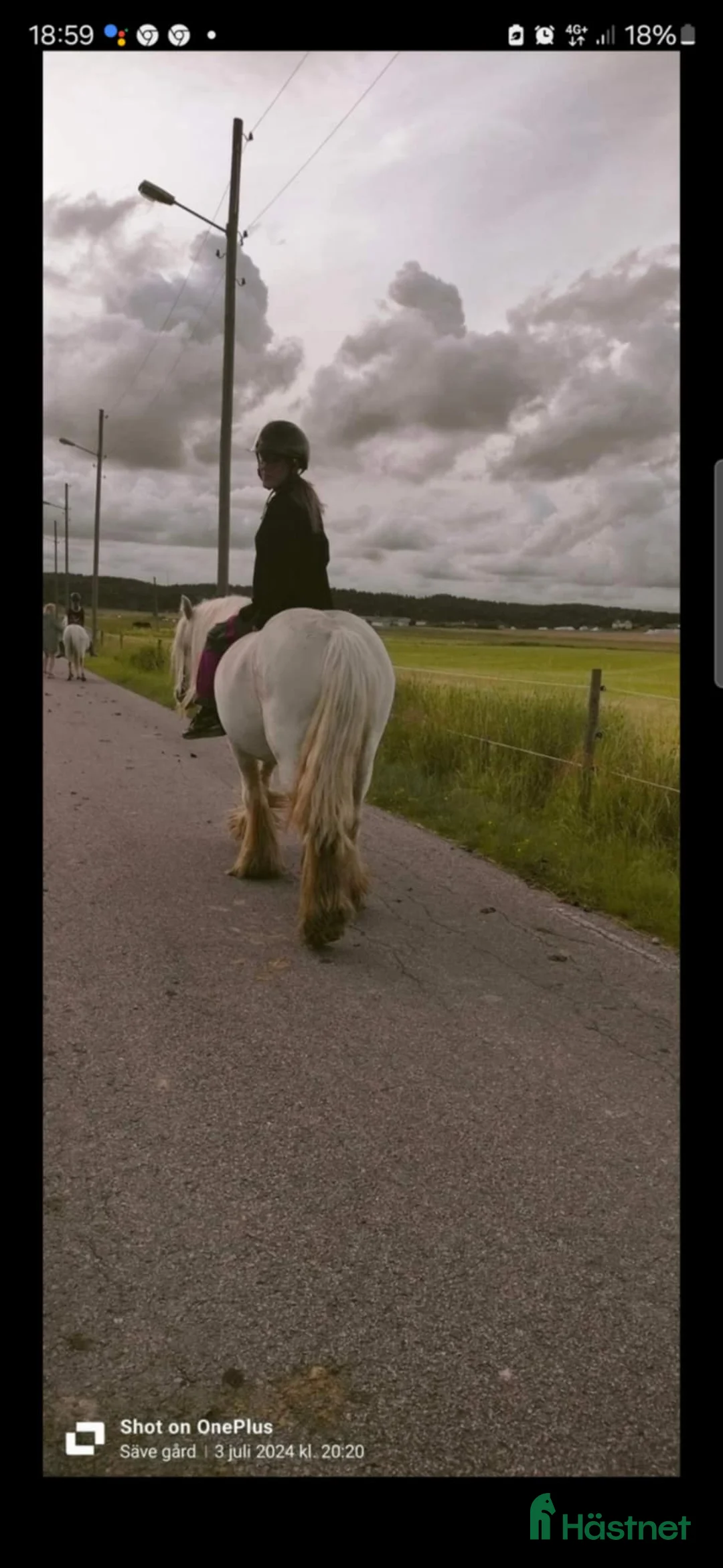 Övrigt hästar till salu: Supertrygg b ponny, även är lämplig för verksamhet i Säve - Annons 3