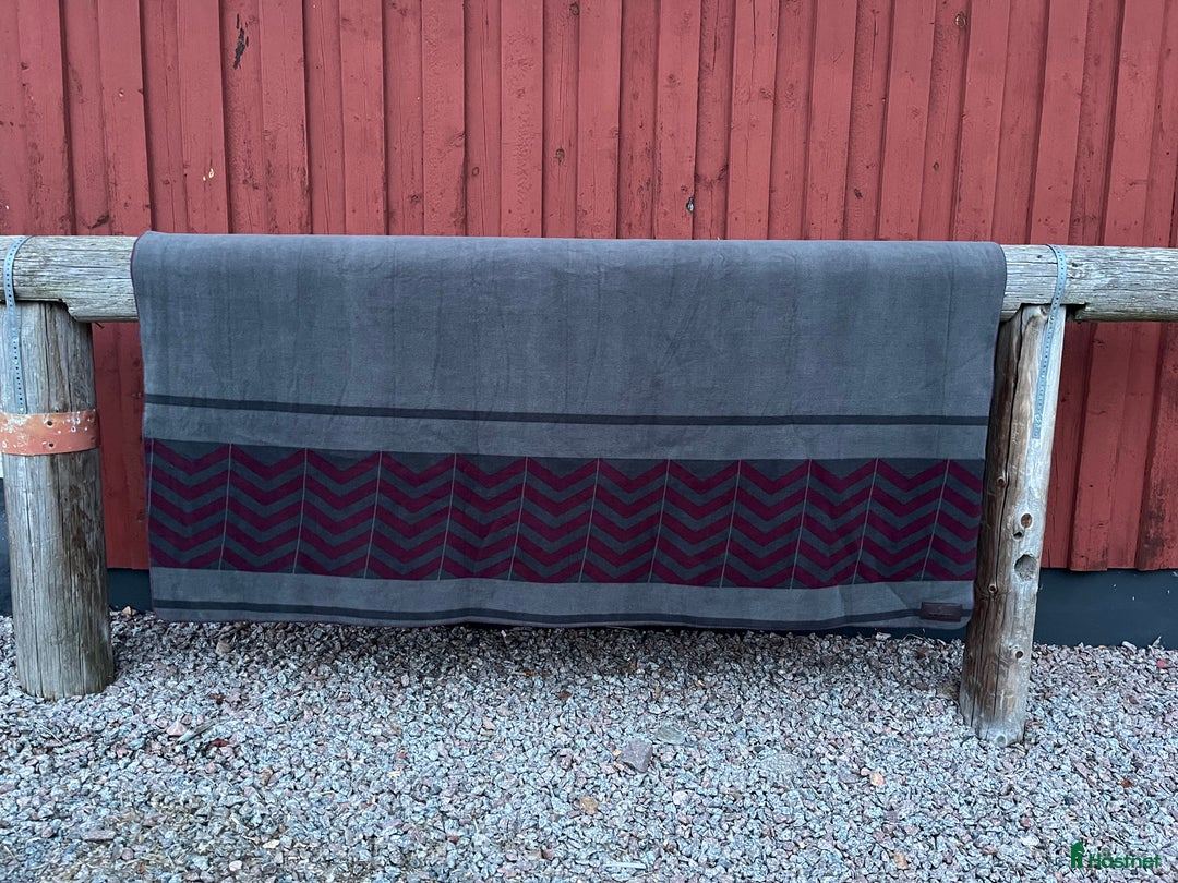 Övrig Hästutrustning hästutrustning till salu: Fleecefilt Kentucky i Uppsala - Annons 1