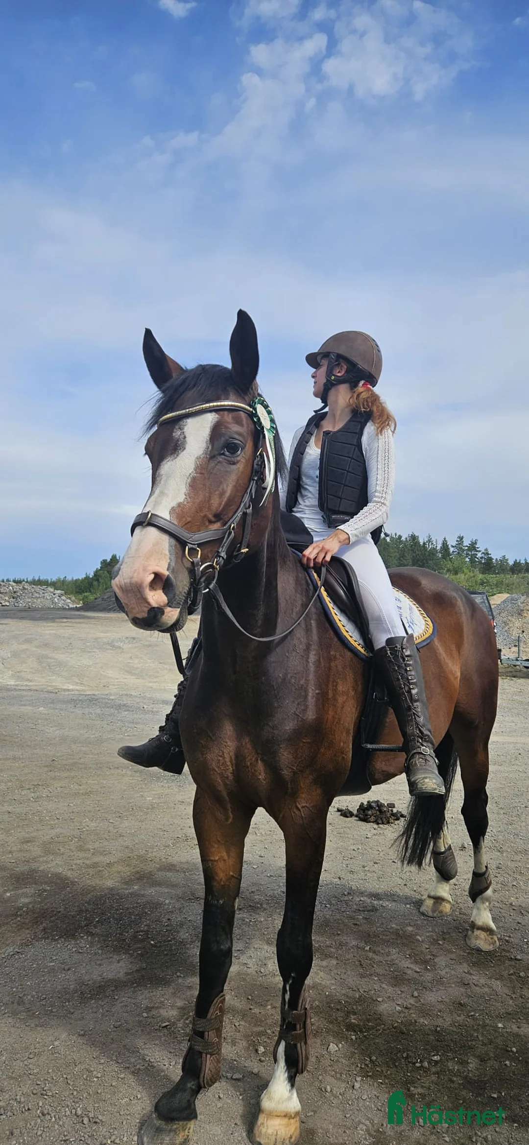  medryttarhäst finnes: Erfaren medryttare till häftig Swb hopp/dressyr i Västerhaninge - Annons 14