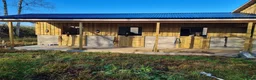  stallplats finnes: Lösdriftsplatser och möjlighet för boende - Annons 4
