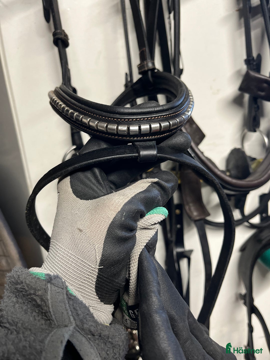 Träns hästutrustning till salu: Ps träns modell Antwerpen  i Växjö - Annons 8