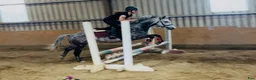 Hoppning hästar till salu: Pumpkin Jack 140cm gelding  - Annons 7