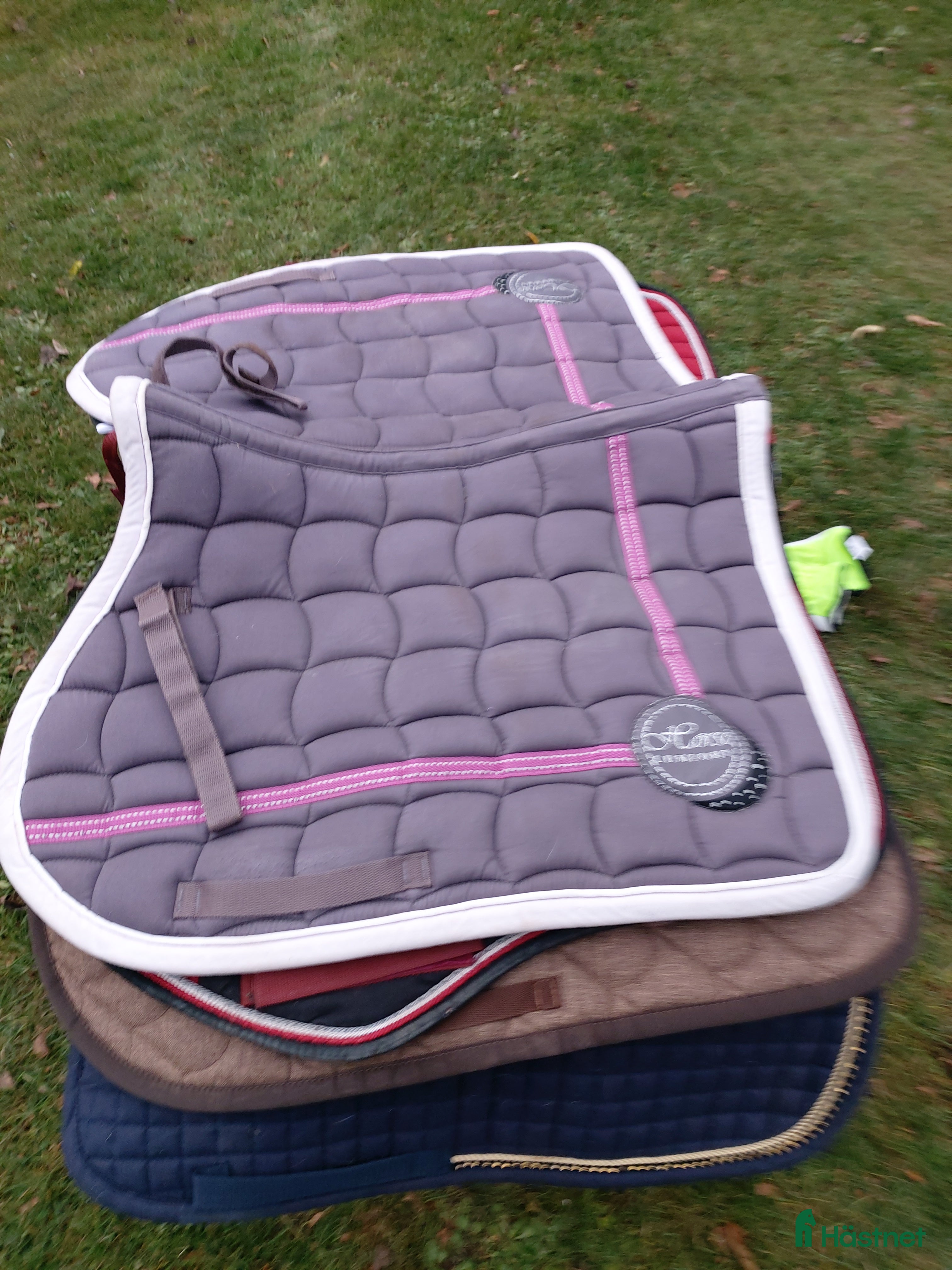 Schabrak & Vojlockar hästutrustning till salu: Chabrak o  vojlock i Visingsö - Annons 18