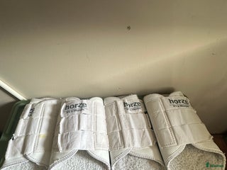 Benskydd hästutrustning till salu: Vita benskydd i Perstorp - Annons 21