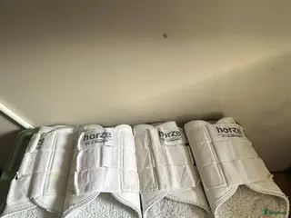 Benskydd hästutrustning Vita benskydd i Perstorp - Annons 7