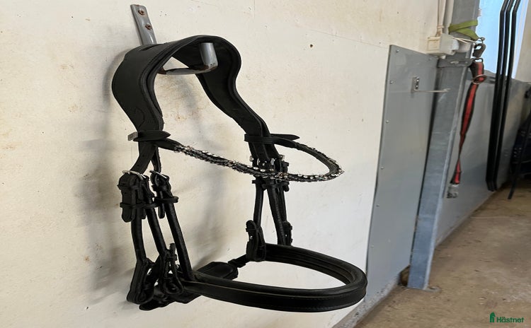 Träns hästutrustning till salu i Skellefteå - Annons 3