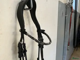 Träns hästutrustning Kandar i Skellefteå - Annons 21