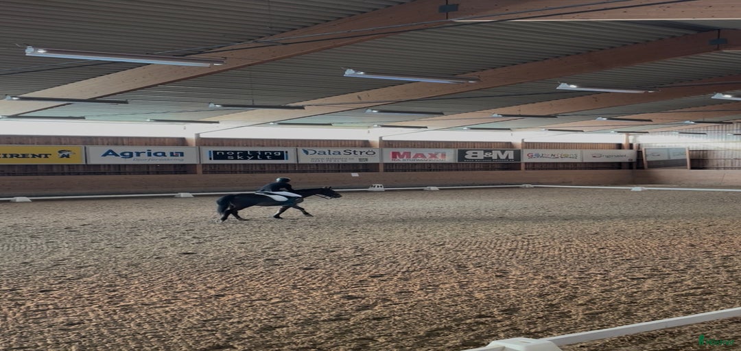 Galleribild {{count}}