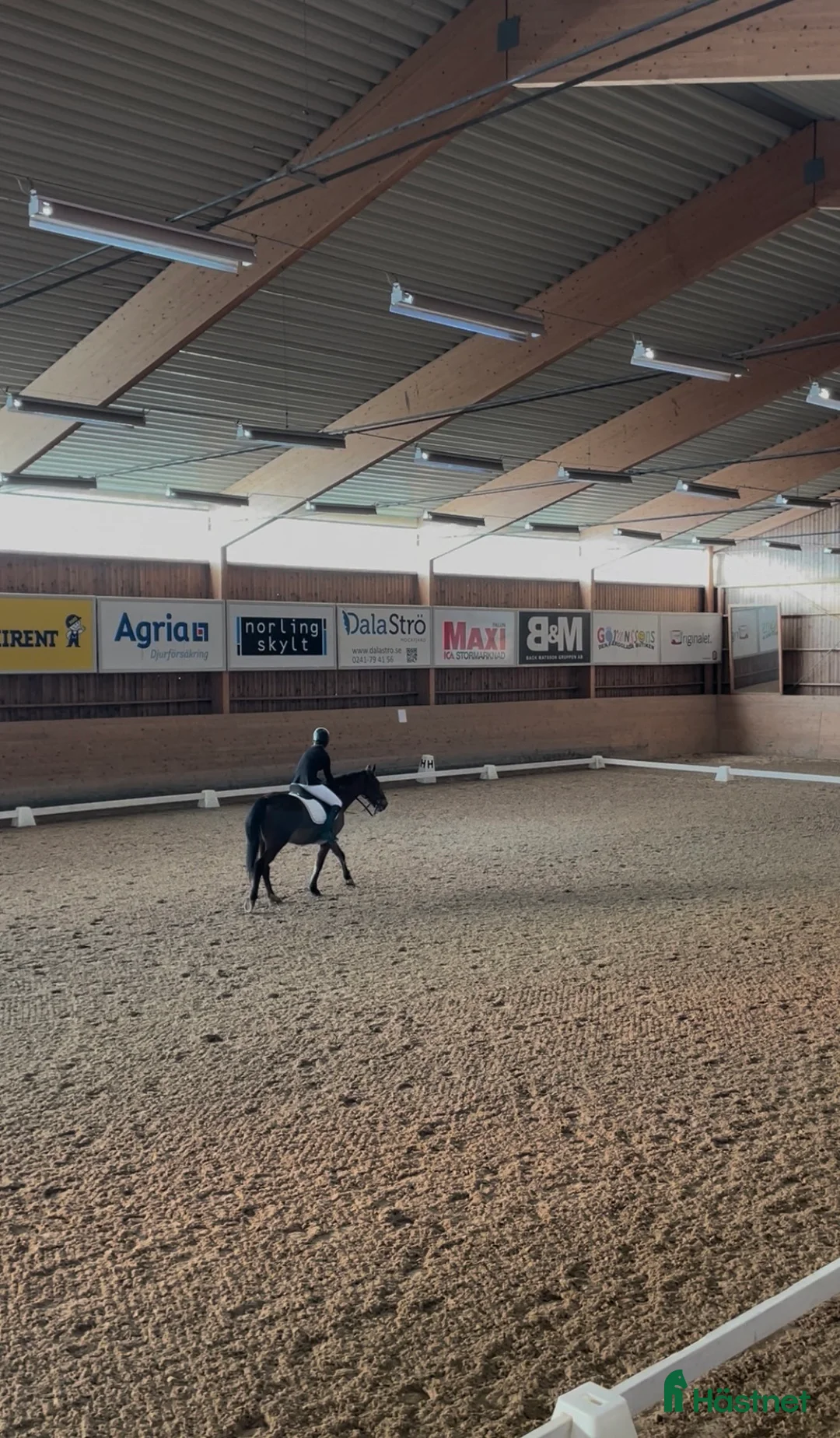 Galleribild {{count}}