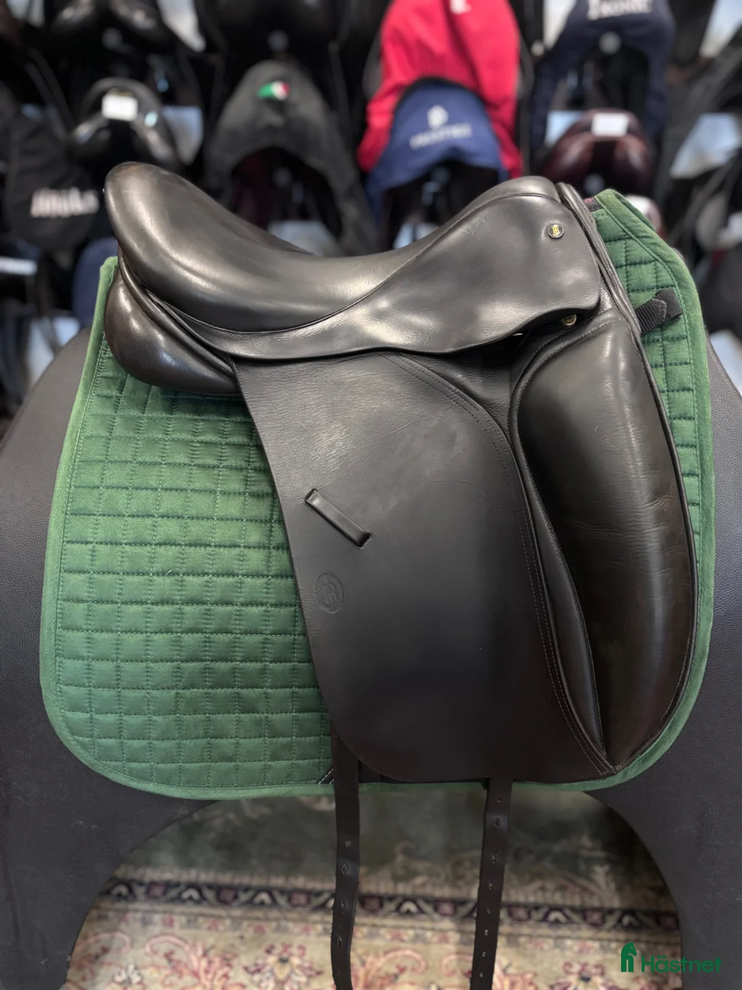 Sadlar hästutrustning till salu: Jeremy Rudge ✨ - Annons 2
