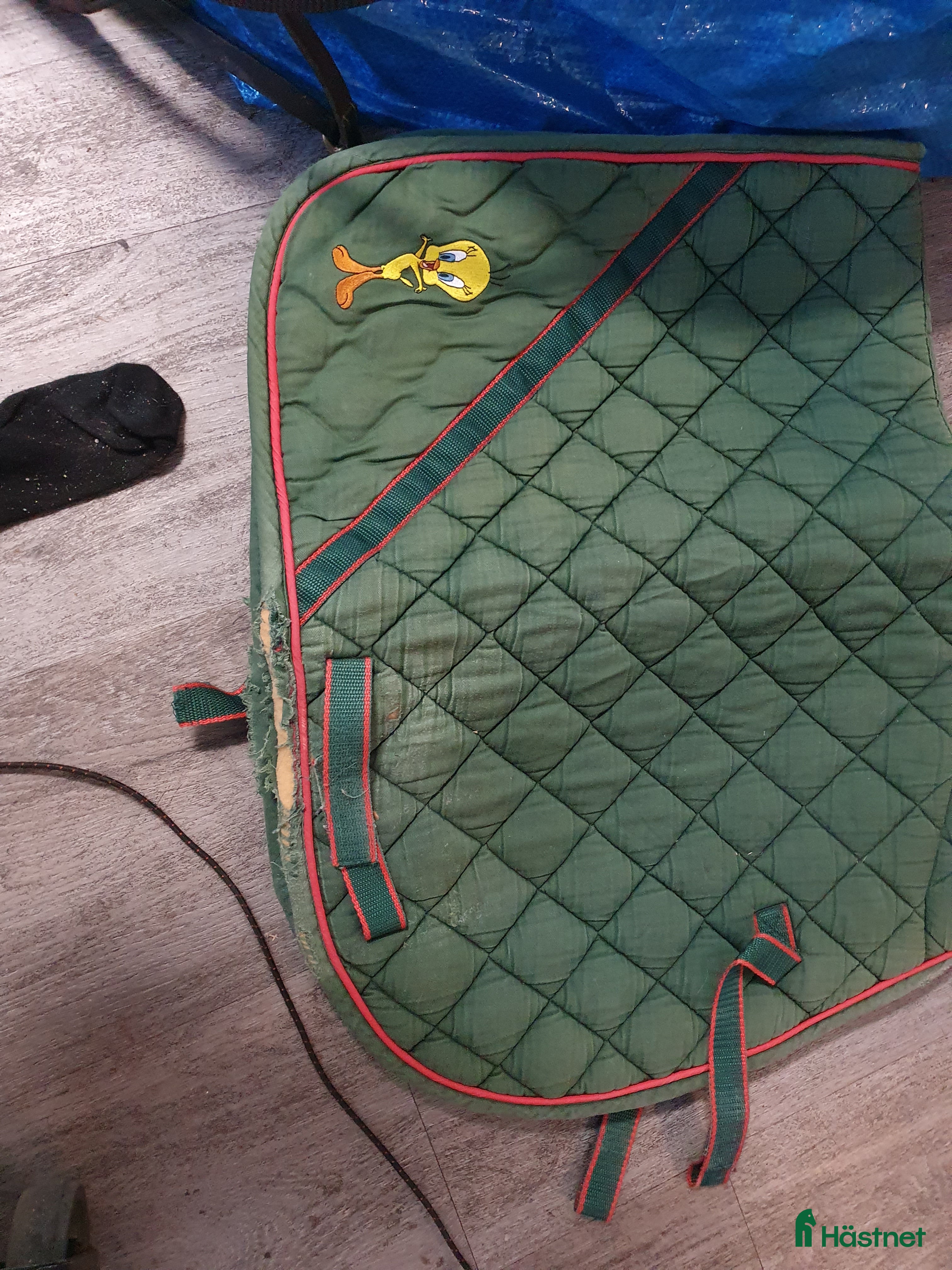 Schabrak & Vojlockar hästutrustning till salu: Schabrak  i Herrljunga - Annons 8