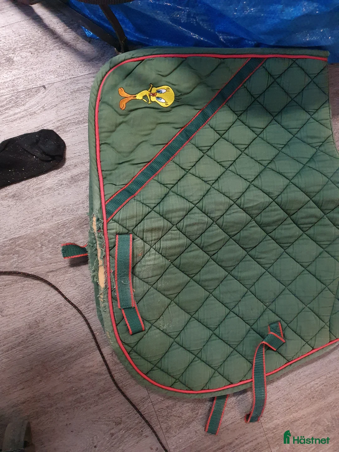 Schabrak & Vojlockar hästutrustning till salu: Schabrak  i Herrljunga - Annons 1