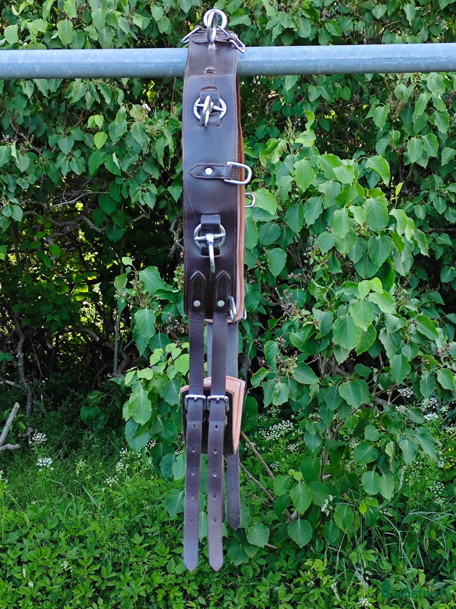 Övrig Hästutrustning hästutrustning Tömkörningsgjord/tömkörningsdäckel - Annons 2