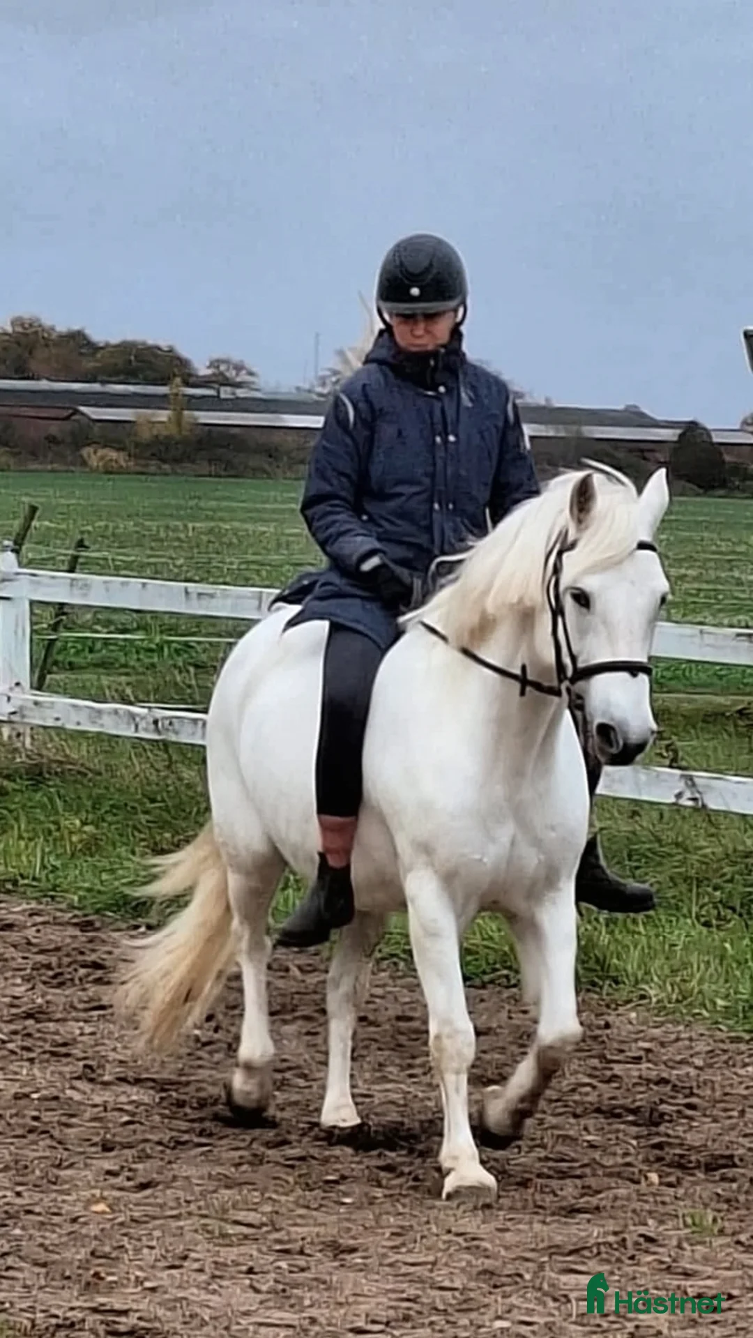 Galleribild {{count}}