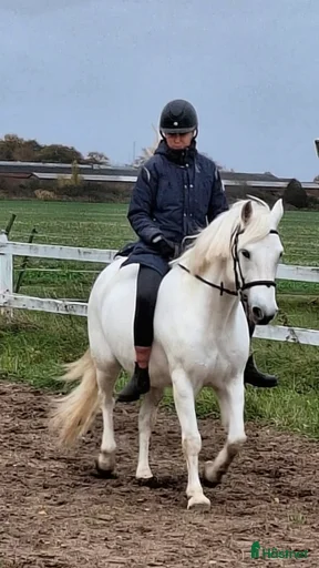 Galleribild {{count}}