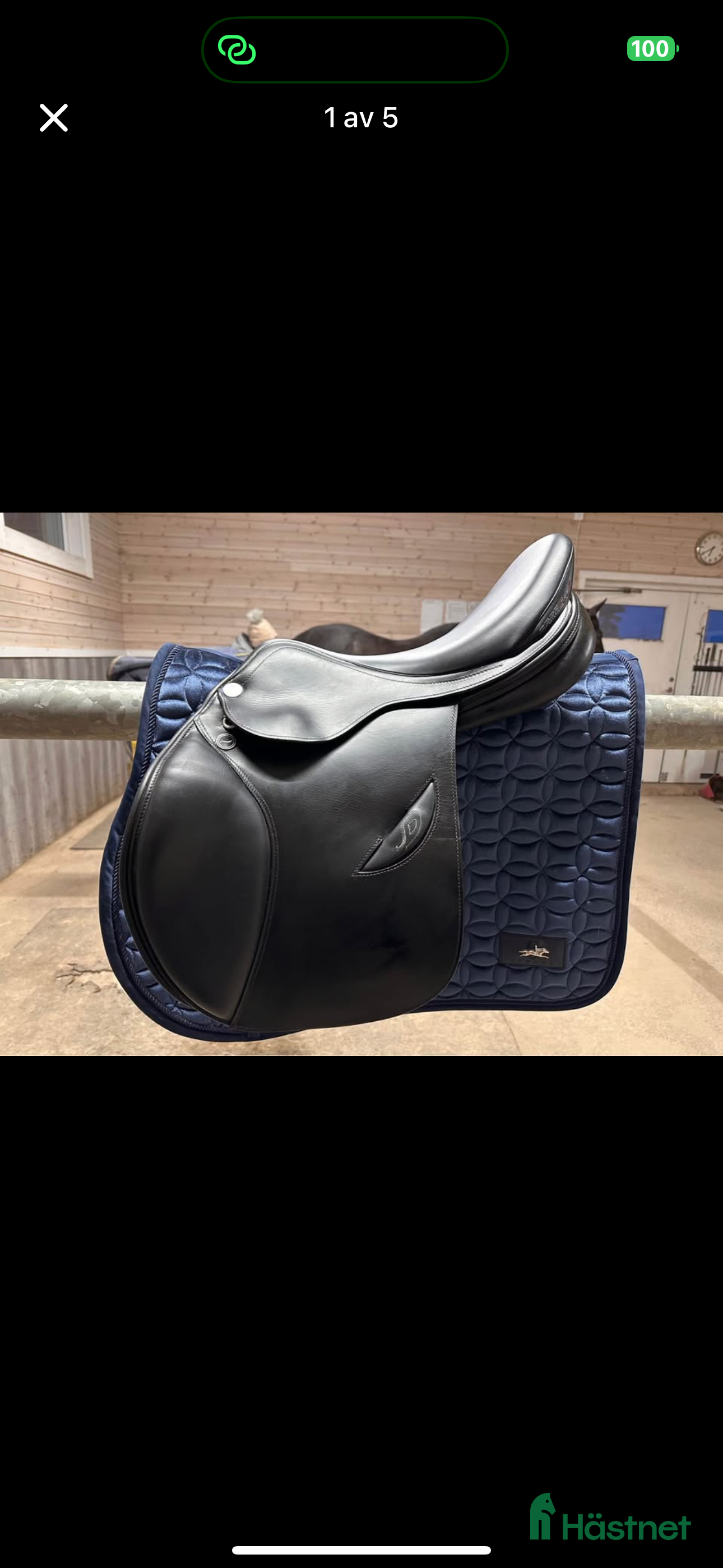 Sadlar hästutrustning till salu: Tre sadlar säljes i Borlänge - Annons 8