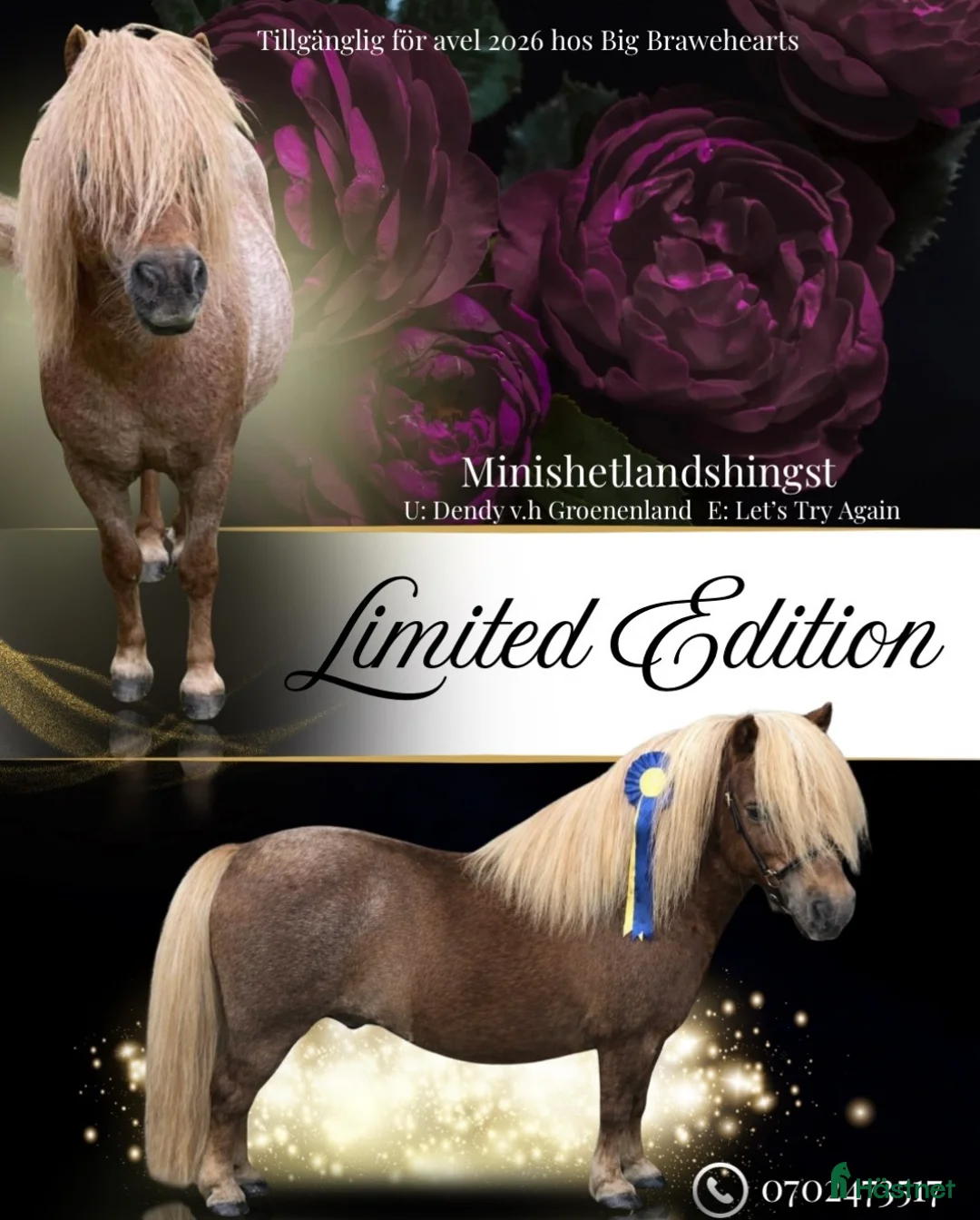 Galleribild {{count}}