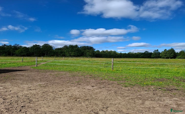  stallplats i Hallsberg - Annons 8