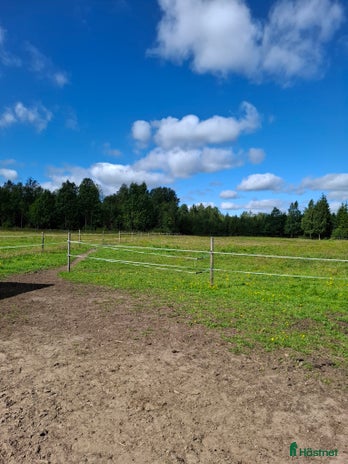 stallplats i Hallsberg - Annons 8