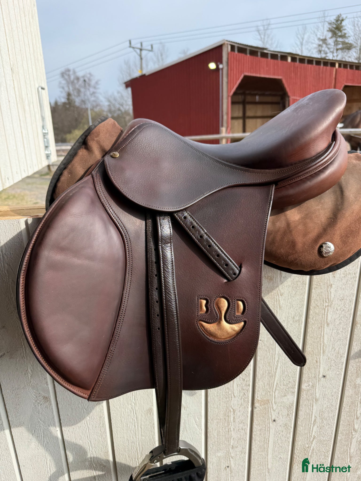 Sadlar hästutrustning Bruno delgrange 2023 - Annons 3