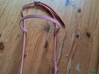 Träns hästutrustning Huvudlag Biothane i Storfors - Annons 1