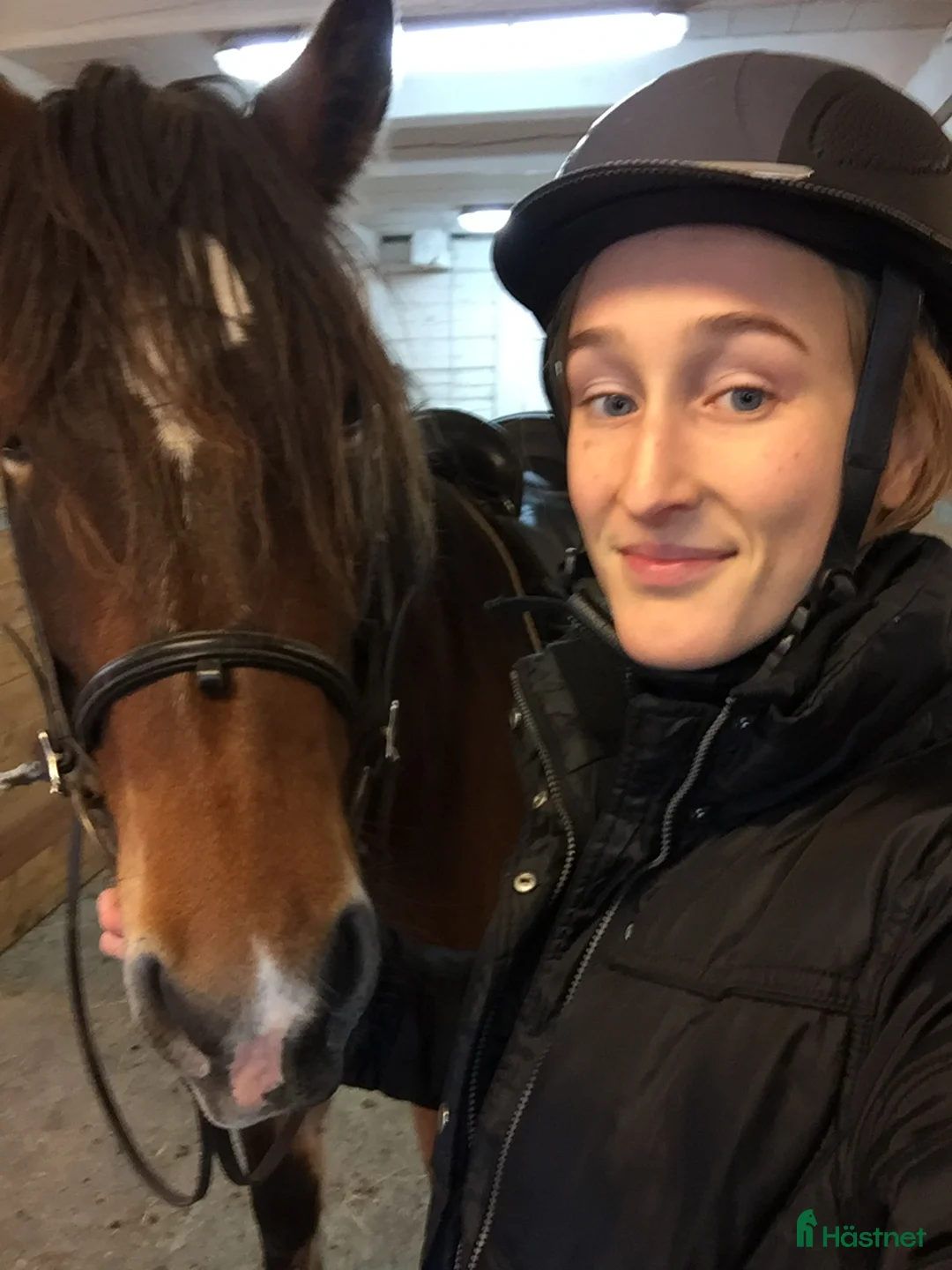  medryttarhäst sökes: Medryttarhäst sökes 1 gång/v eller vid behov i Gothenburg - Annons 2