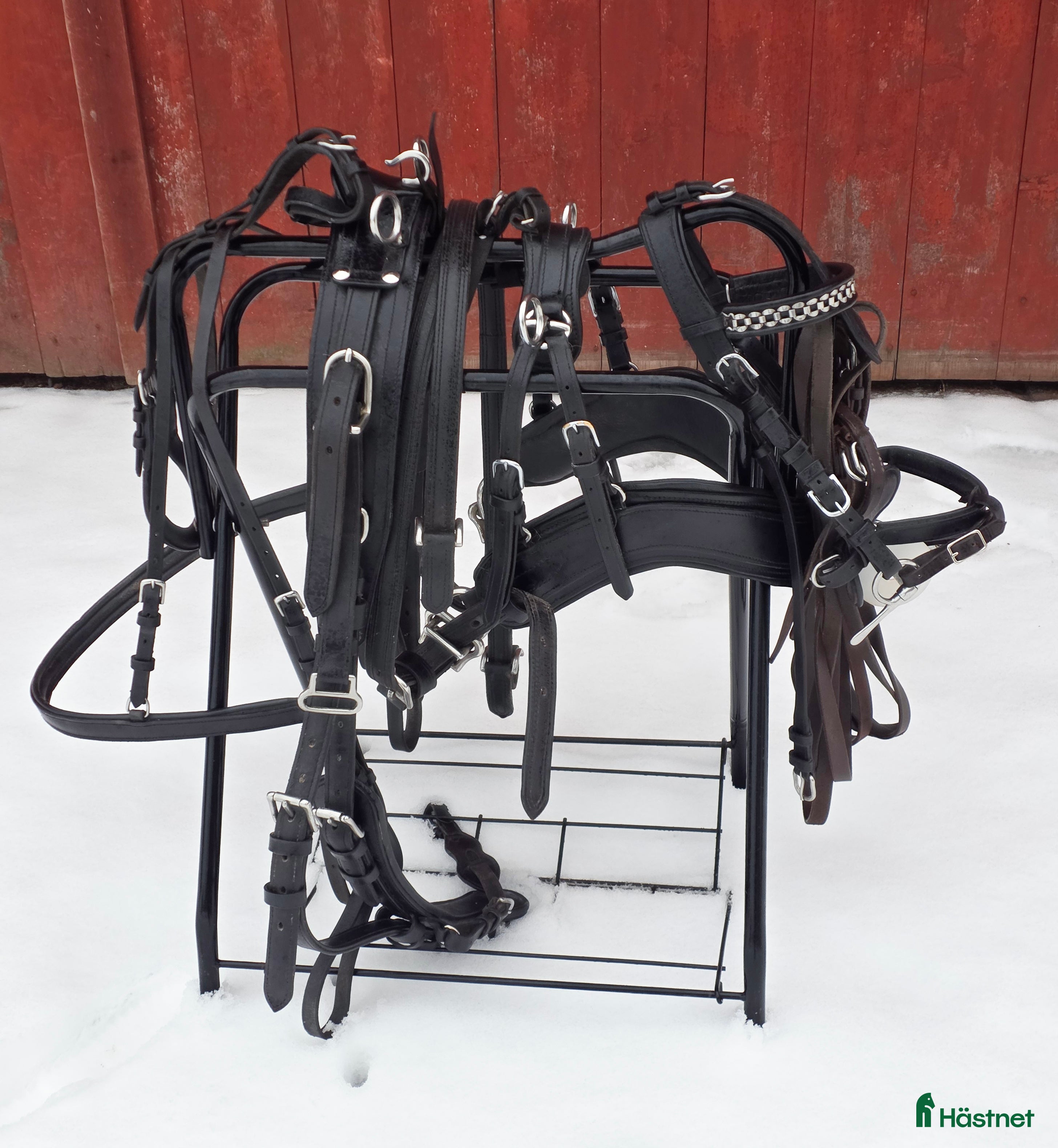 Körselar körning till salu: Bröstsele i svart läder - Annons 1