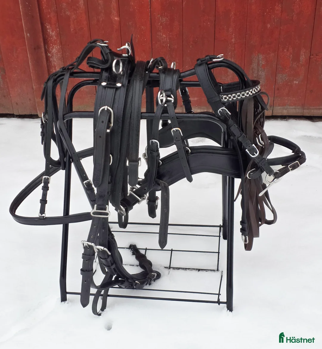 Körselar körning till salu: Bröstsele i svart läder - Annons 1