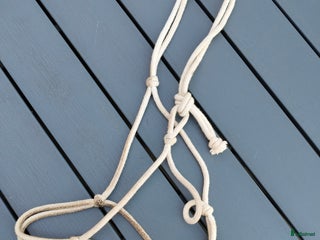 Övrig Hästutrustning hästutrustning till salu: Grimmor Cob i Ljungbyholm - Annons 4