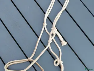 Övrig Hästutrustning hästutrustning till salu: Grimmor Cob i Ljungbyholm - Annons 3