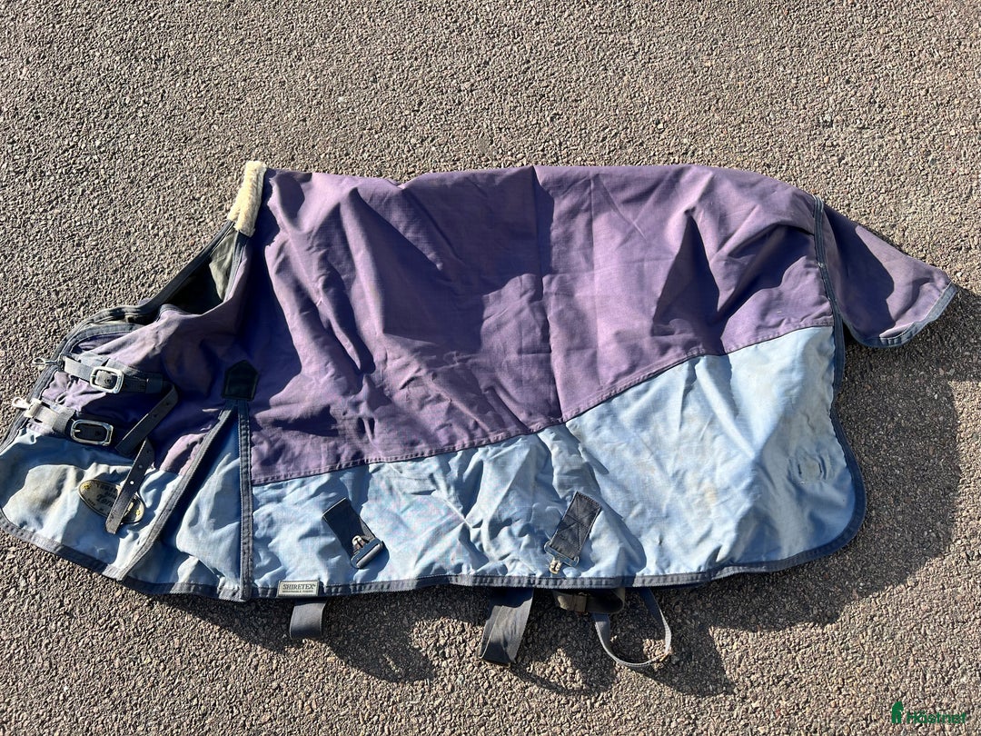 Övrig Hästutrustning hästutrustning till salu: Ponnysaker i Västerås - Annons 12