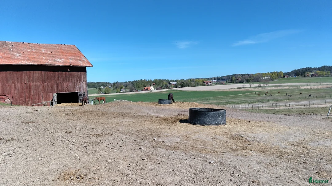  stallplats finnes: Lösdrift med egen box - Annons 8