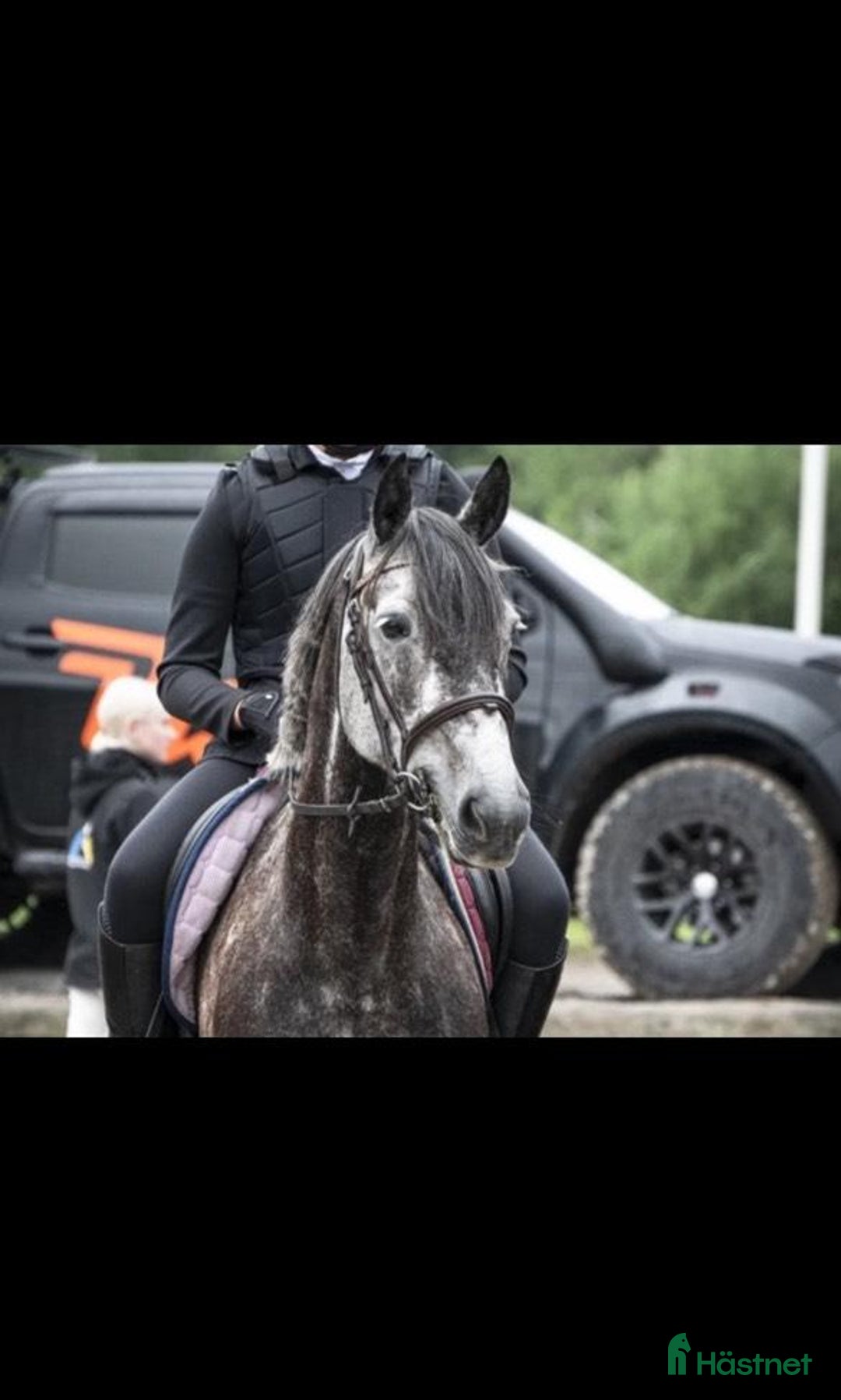 Hoppning hästar till salu: Rosettplockande D-ponny med stor kapacitet 🌟 i Bollstabruk - Bild 5