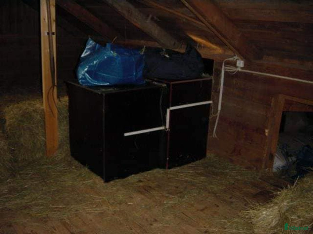  stallplats finnes: Stallplats Box ledig, Ekerö kommun i Skå - Annons 6