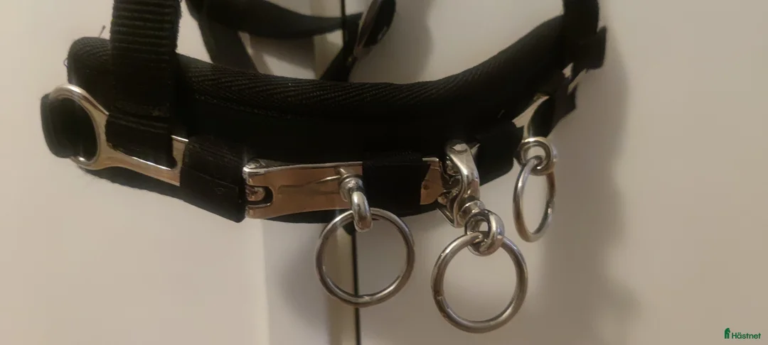 Övrig Hästutrustning hästutrustning till salu: Kapsongrimma i Järfälla - Annons 2