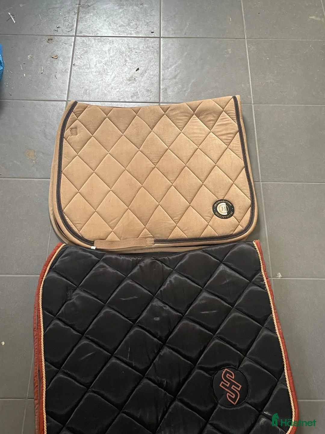 Övrig Hästutrustning hästutrustning till salu: Allt möjligt i Älmhult - Annons 2