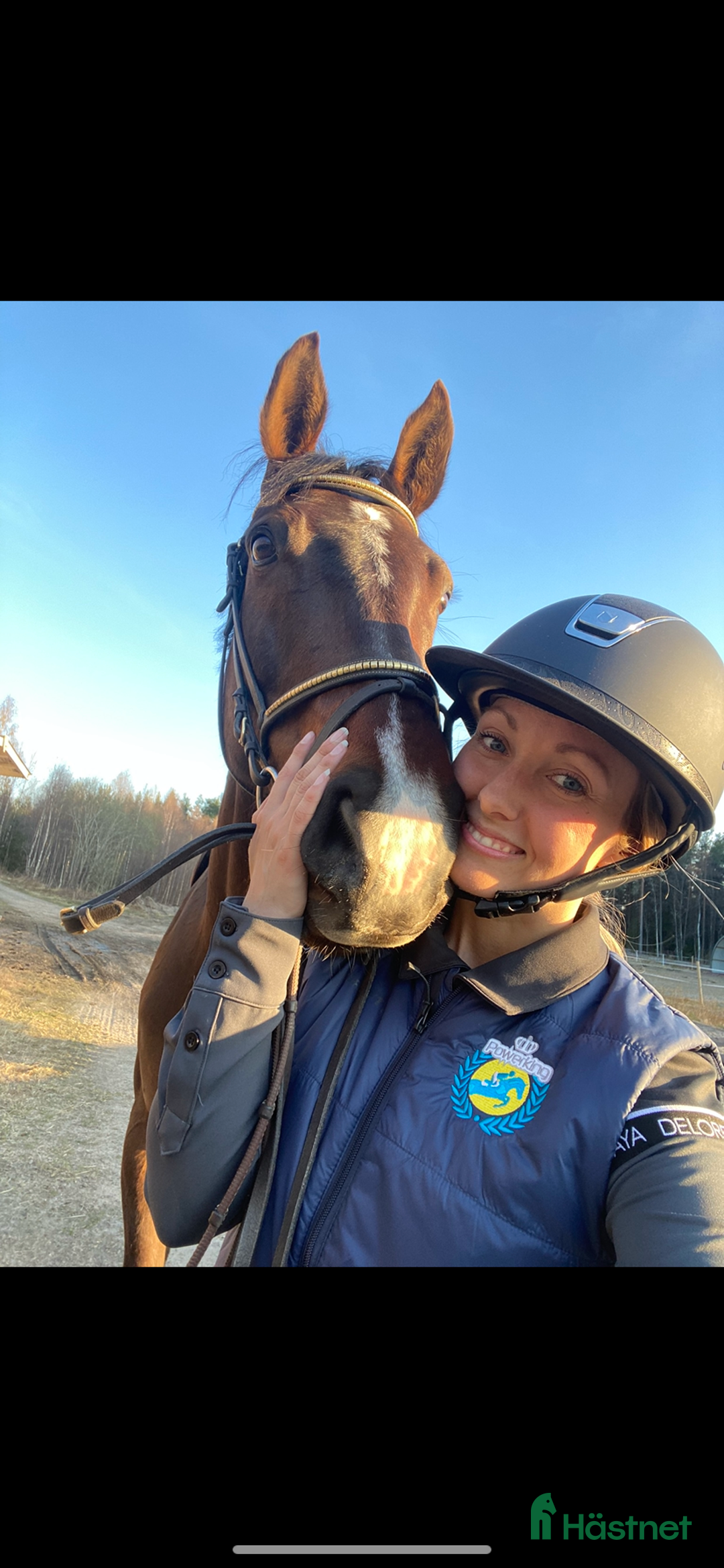  stallplats finnes: Söker stallplatser för två hästar i Stockholm - Annons 2