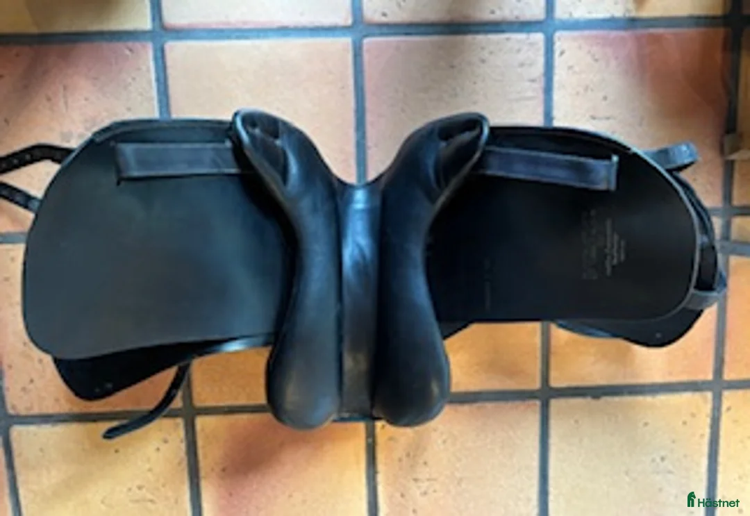 Sadeltillbehör hästutrustning till salu: AMERIGO VEGA DRESSYRSADEL med tillbehör i Värmdö - Annons 3