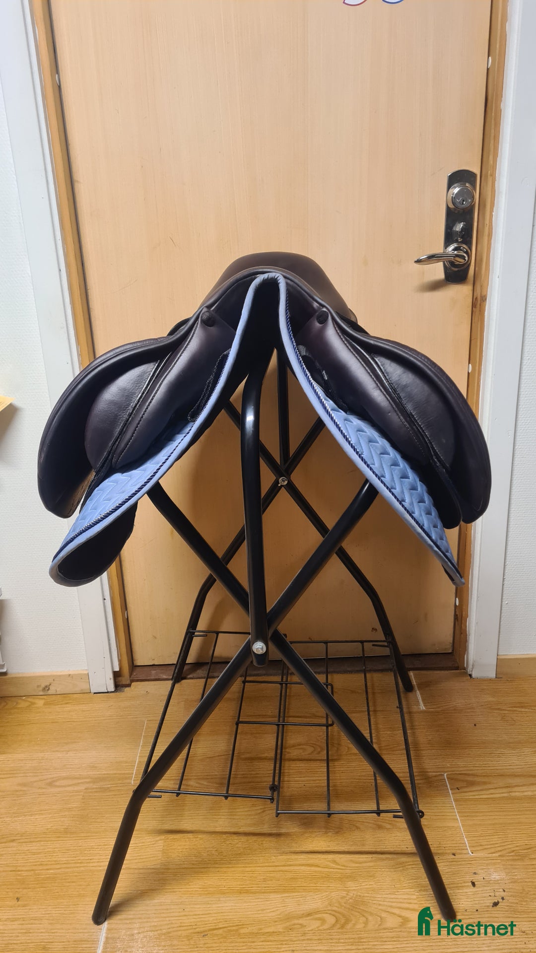 Sadlar hästutrustning till salu: Santa Cruz Celine - Annons 3