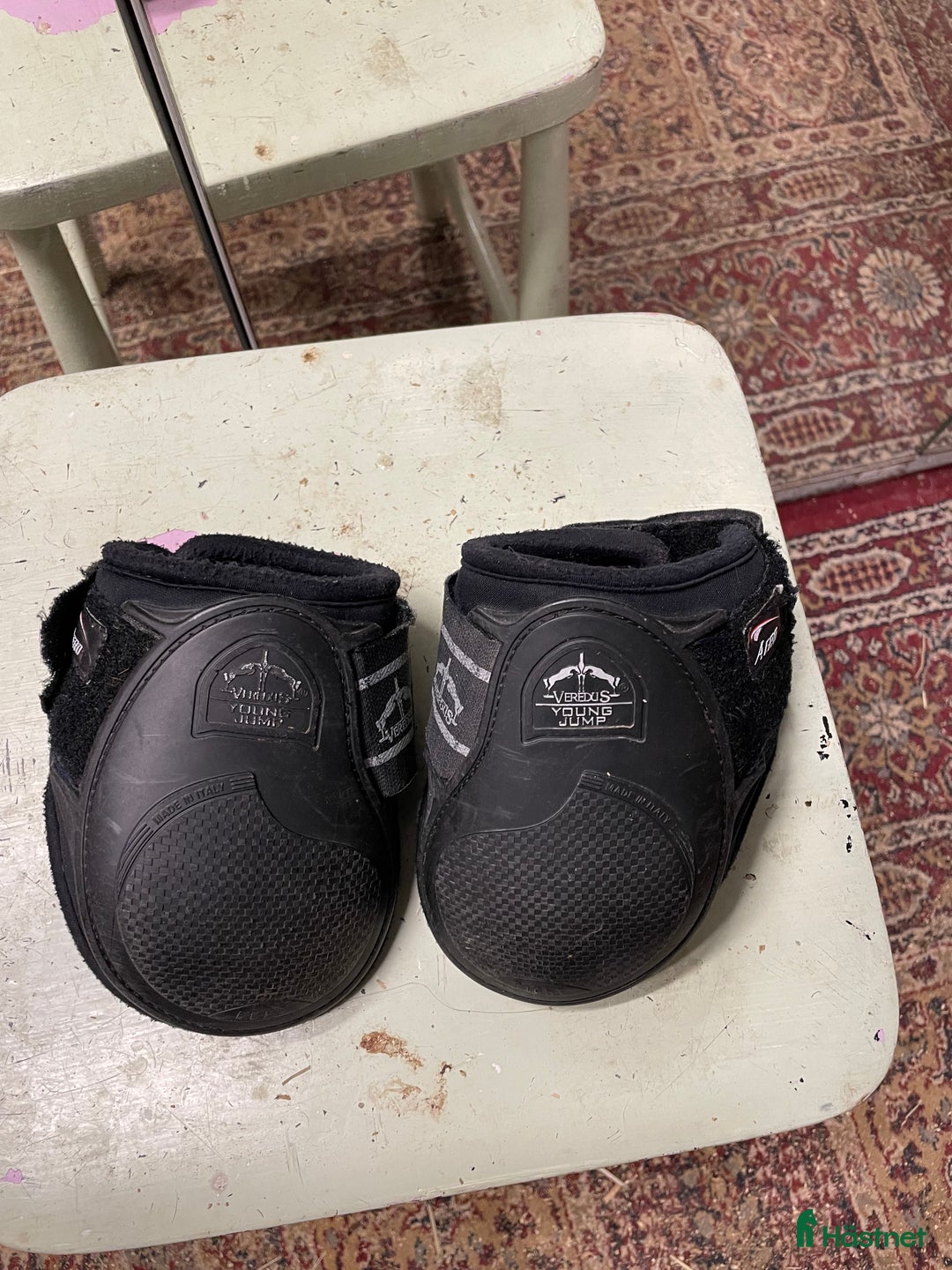 Benskydd hästutrustning till salu: Veredus bakskydd  - Annons 1