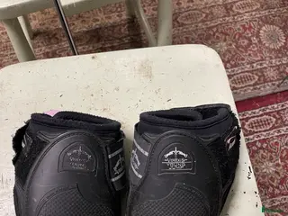 Benskydd hästutrustning Veredus bakskydd - Annons 3