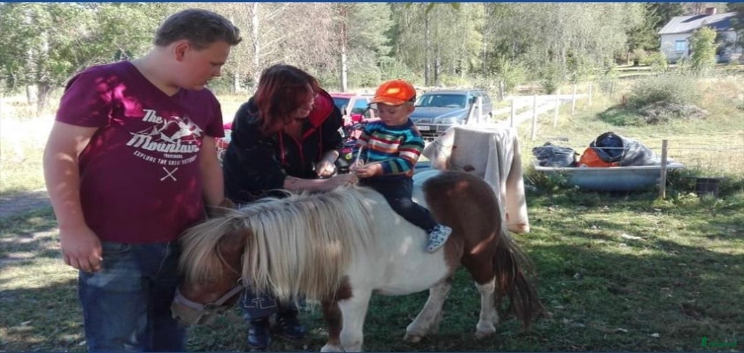 Galleribild {{count}}